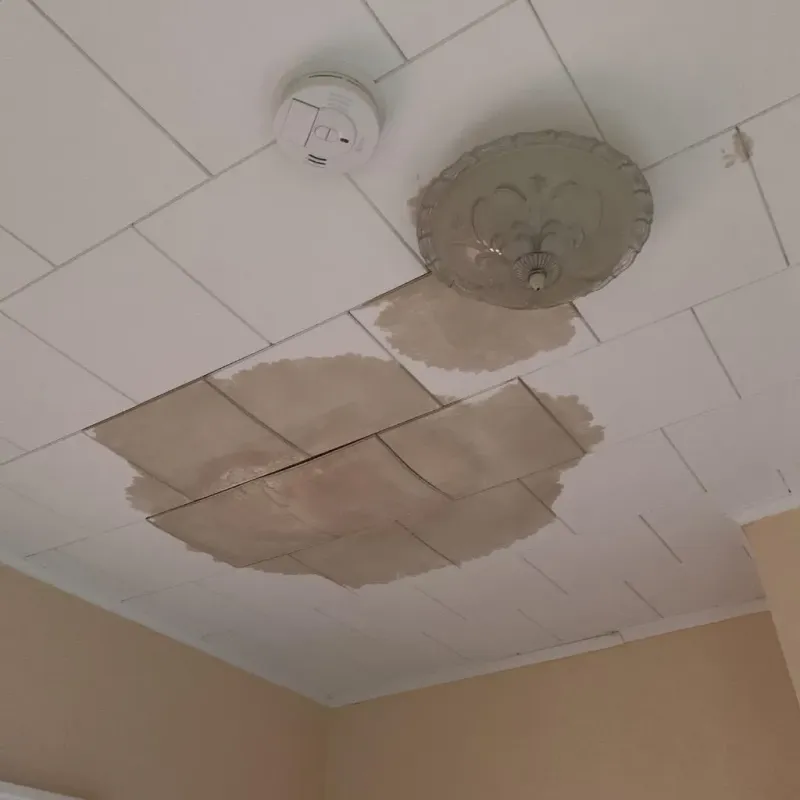 Ceiling Water Damage Repair in Custer County, CO