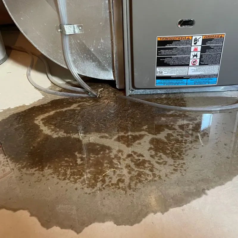 Pipe Burst and Leak Restoration in Custer County, CO