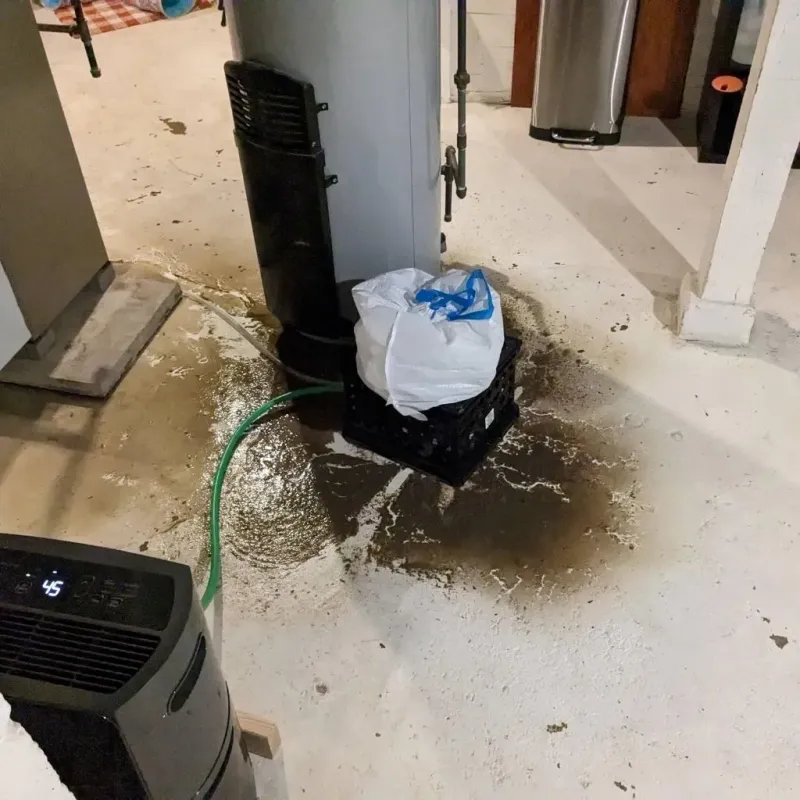 Sewage Backup Cleanup Service in Custer County, CO